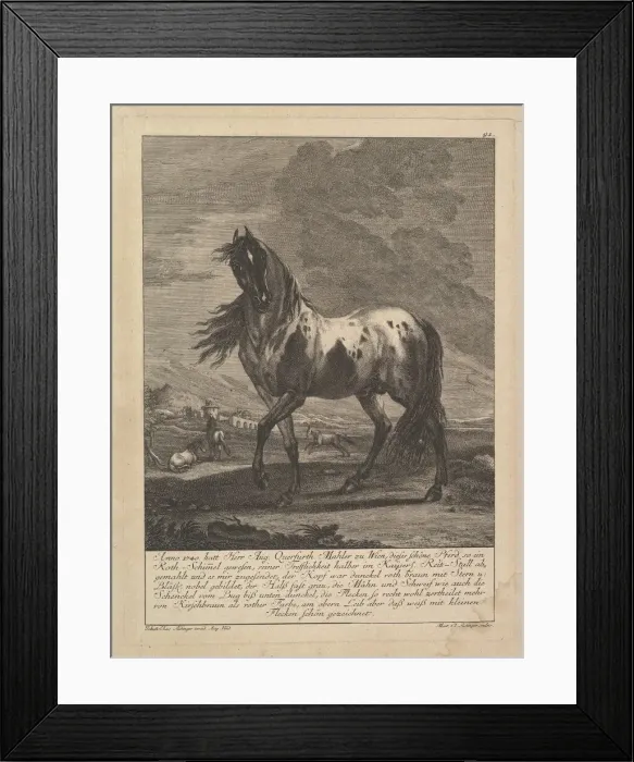 Framed Print : Horse, 18th Century. Creator: Unknown Framed Print : Horse, 18th Century. Creator: Unknown