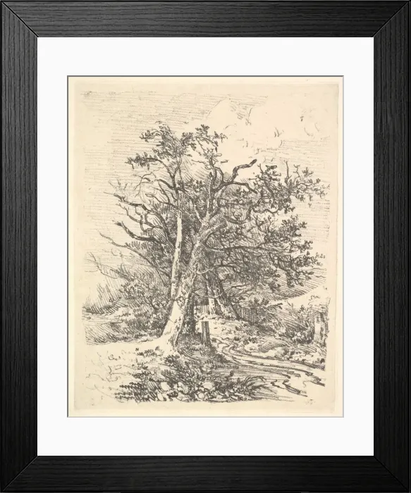 Framed Print : Tree Trunks and Lane, 1811-13. Creator: John Crome Framed Print : Tree Trunks and Lane, 1811-13. Creator: John Crome
