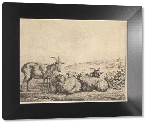 Two Goats and Three Sheep, 1655. Creator: Karel Du Jardin