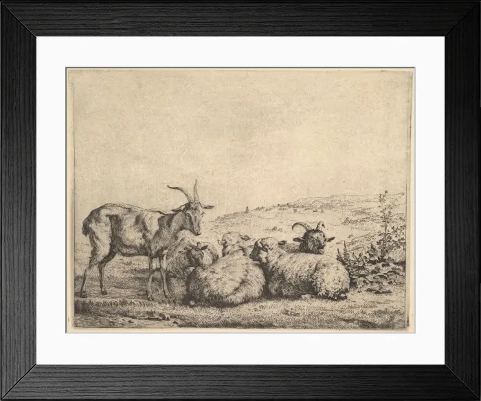 Framed Print : Two Goats and Three Sheep, 1655. Creator: Karel Du Jardin Framed Print : Two Goats and Three Sheep, 1655. Creator: Karel Du Jardin