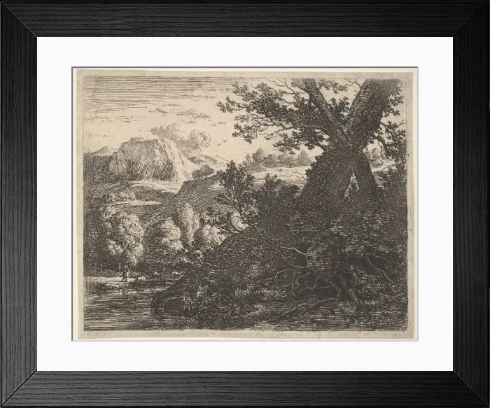 Framed Print : Tree with roots laid bare alongside a stream, a hilly landscape Framed Print : Tree with roots laid bare alongside a stream, a hilly landscape