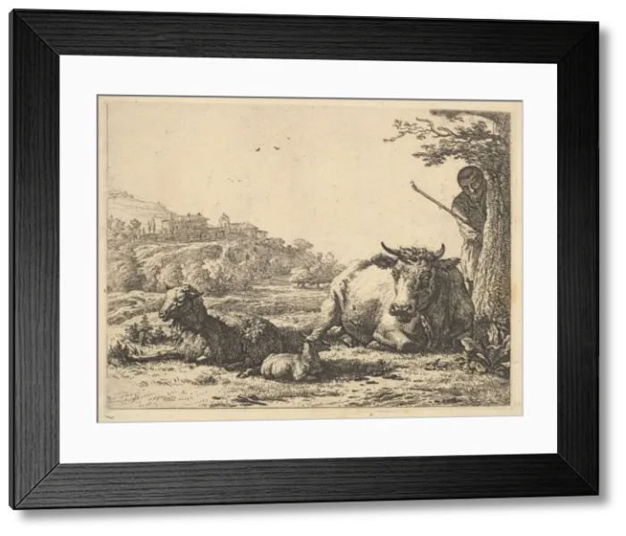 Framed Print : Cow, adult sheep, and young sheep lying in the grass; beyond Framed Print : Cow, adult sheep, and young sheep lying in the grass; beyond