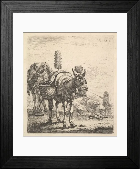 Framed Print : Two mules bearing panniers and outfitted with blinders, plumes, and tassels; one mu Framed Print : Two mules bearing panniers and outfitted with blinders, plumes, and tassels; one mu