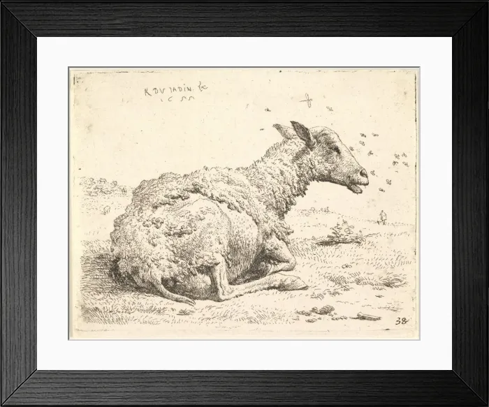Framed Print : Partially shorn sheep lying in the grass with insects hovering around its head, 1655