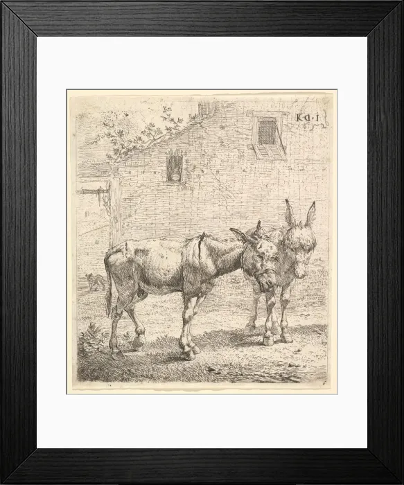 Framed Print : Two donkeys standing in a grassy yard, one in profile view facing right Framed Print : Two donkeys standing in a grassy yard, one in profile view facing right