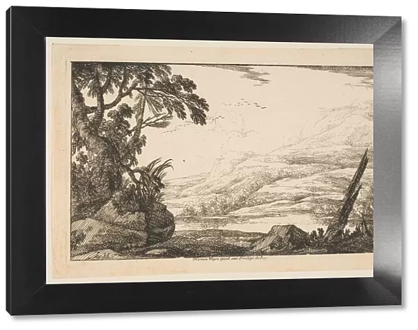 Clump of Trees, 1640. Creator: Laurent de la Hyre
