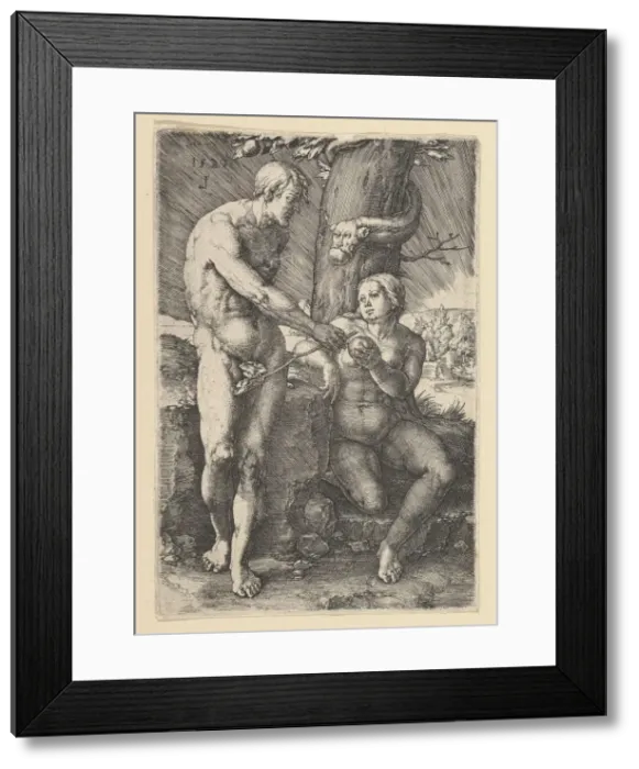 Framed Print : Sin of Adam and Eve, 1529. Creator: Lucas van Leyden Framed Print : Sin of Adam and Eve, 1529. Creator: Lucas van Leyden