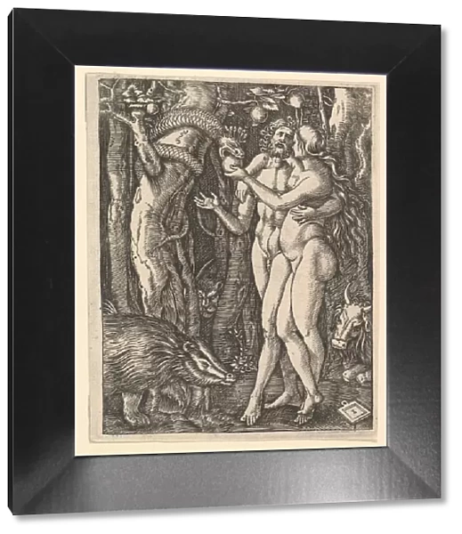 Adam and Eve with apple and serpent, ca. 1500-1534. Creator: Marcantonio Raimondi