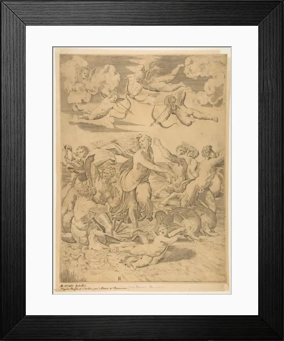 Framed Print : Galatea riding in a shell pulled through the water by dolphins, a cupid below and f Framed Print : Galatea riding in a shell pulled through the water by dolphins, a cupid below and f
