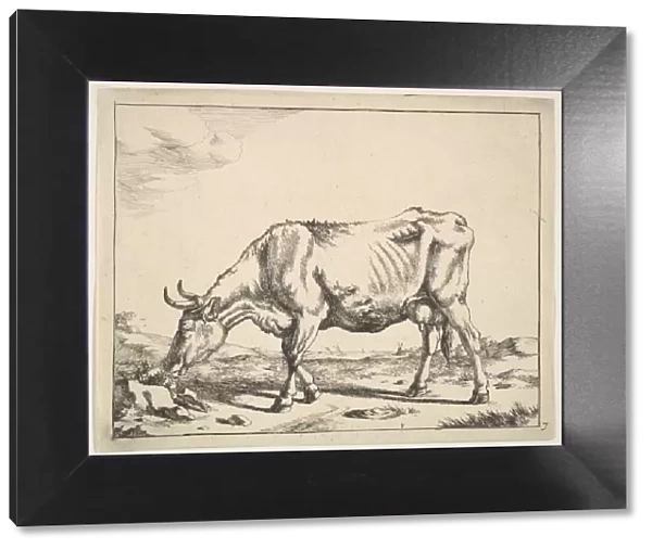 Cow, after Paulus Potter. Creator: Marcus de Bye