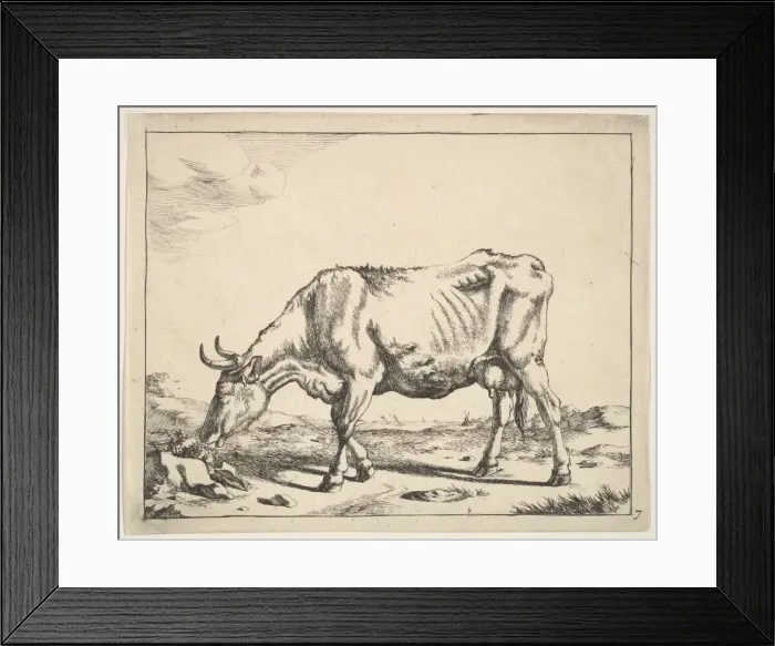 Framed Print : Cow, after Paulus Potter. Creator: Marcus de Bye Framed Print : Cow, after Paulus Potter. Creator: Marcus de Bye