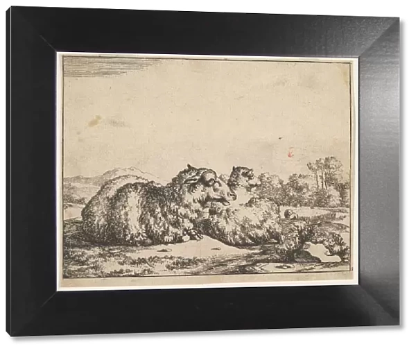 Sheep, from a set of 16 plates, 1664. Creator: Marcus de Bye