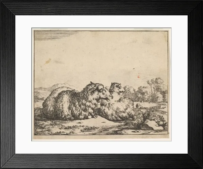 Framed Print : Sheep, from a set of 16 plates, 1664. Creator: Marcus de Bye Framed Print : Sheep, from a set of 16 plates, 1664. Creator: Marcus de Bye