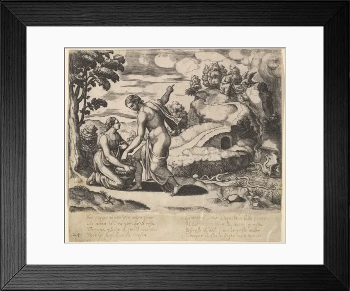 Framed Print : Venus ordering Psyche to take water from a fountain guarded by dragons, from the Fable Framed Print : Venus ordering Psyche to take water from a fountain guarded by dragons, from the Fable