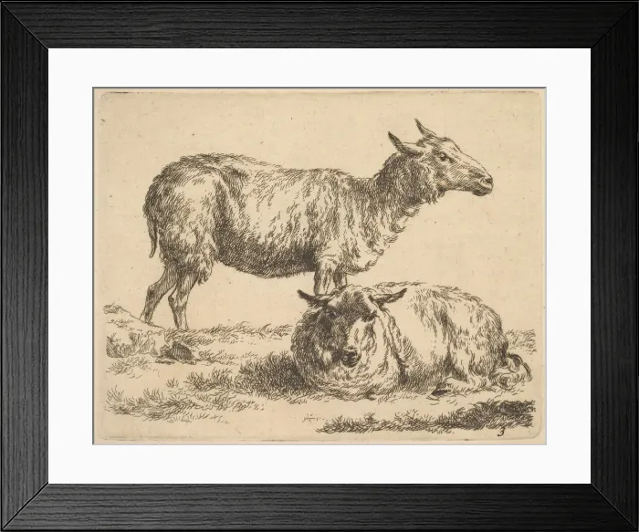Framed Print : from The Set of Sheep. Creator: Nicolaes Berchem Framed Print : from The Set of Sheep. Creator: Nicolaes Berchem