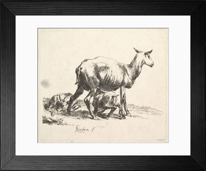 Framed Print : Sheep with Lamb Nursing. Creator: Nicolaes Berchem Framed Print : Sheep with Lamb Nursing. Creator: Nicolaes Berchem