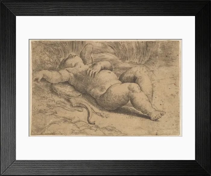Framed Print : Cupid Sleeping, 16th century. Creator: Parmigianino Framed Print : Cupid Sleeping, 16th century. Creator: Parmigianino