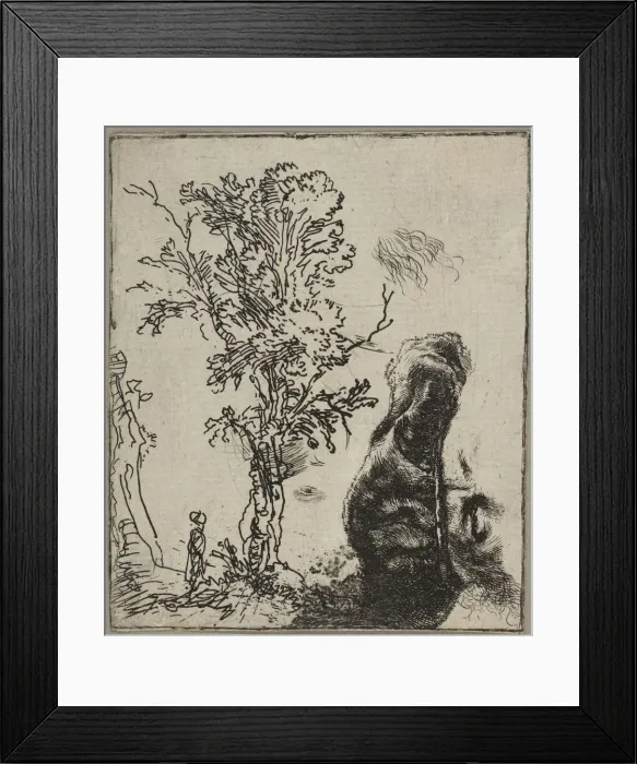 Framed Print : Sheet with Two Studies: A Tree and the Upper Part of a Head of Rembrandt Wearing a Vel Framed Print : Sheet with Two Studies: A Tree and the Upper Part of a Head of Rembrandt Wearing a Vel