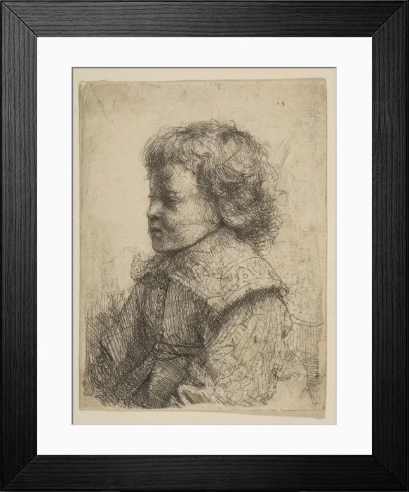 Framed Print : Portrait of a Boy, in Profile, 1641. Creator: Rembrandt Harmensz van Rijn Framed Print : Portrait of a Boy, in Profile, 1641. Creator: Rembrandt Harmensz van Rijn