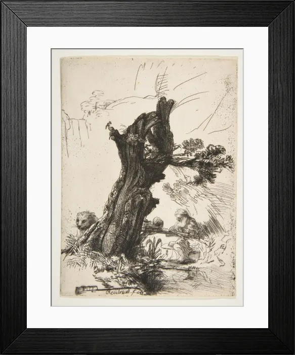 Framed Print : St. Jerome beside a Pollard Willow, 1648. Creator: Rembrandt Harmensz van Rijn Framed Print : St. Jerome beside a Pollard Willow, 1648. Creator: Rembrandt Harmensz van Rijn