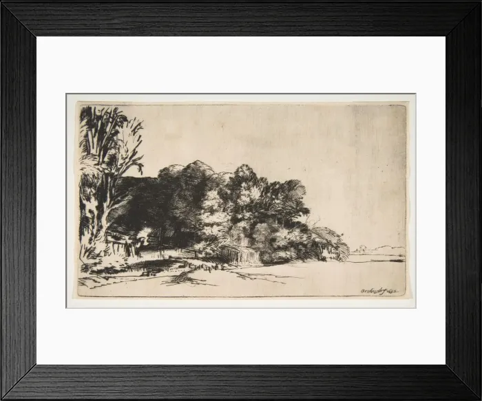 Framed Print : Clump of Trees with a Vista, 1652. Creator: Rembrandt Harmensz van Rijn Framed Print : Clump of Trees with a Vista, 1652. Creator: Rembrandt Harmensz van Rijn