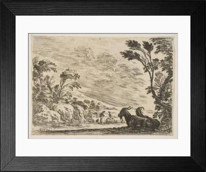 Framed Print : Plate 9: Two goats resting to right, turned towards the left Framed Print : Plate 9: Two goats resting to right, turned towards the left