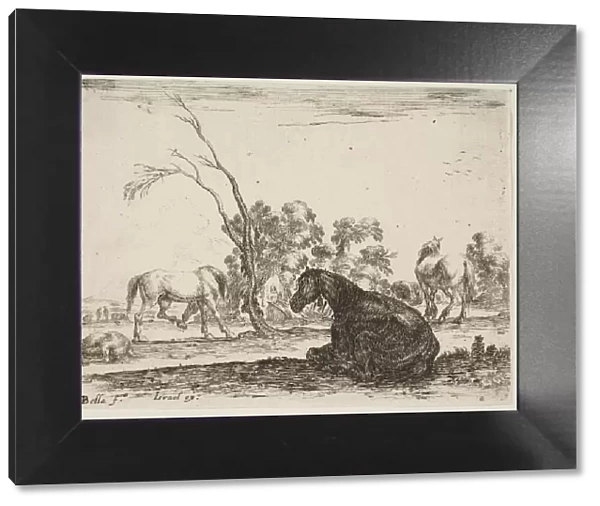 Plate 8: a seated horse to right, seen from behind and turned to the left