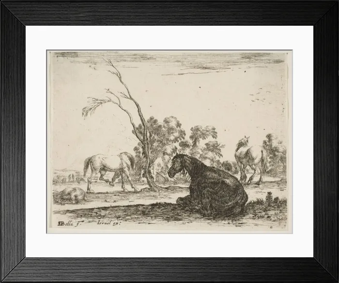 Framed Print : Plate 8: a seated horse to right, seen from behind and turned to the left Framed Print : Plate 8: a seated horse to right, seen from behind and turned to the left