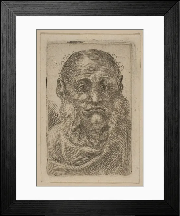 Framed Print : Head of Old Man. Creator: Attributed to Stefano della Bella (Italian Framed Print : Head of Old Man. Creator: Attributed to Stefano della Bella (Italian