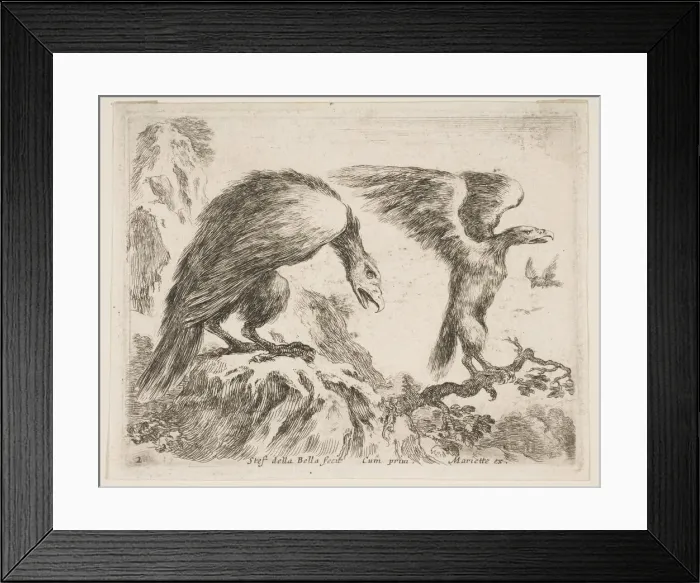Framed Print : Plate 2: eagle and eaglet, from Various animals (Diversi animali), ca. 1641 Framed Print : Plate 2: eagle and eaglet, from Various animals (Diversi animali), ca. 1641