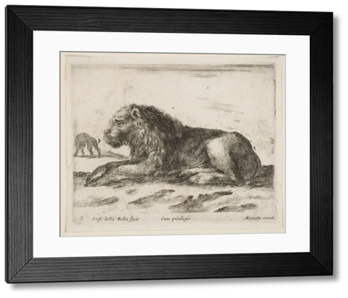 Framed Print : Plate 5: reclining lion, from Various animals (Diversi animali), 1641 Framed Print : Plate 5: reclining lion, from Various animals (Diversi animali), 1641