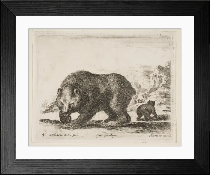 Framed Print : Plate 4: bear, from Various animals (Diversi animali), 1641 Framed Print : Plate 4: bear, from Various animals (Diversi animali), 1641