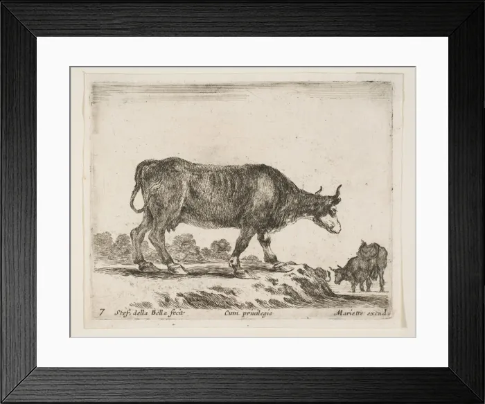 Framed Print : Plate 7: ox, from Various animals (Diversi animali), ca. 1641 Framed Print : Plate 7: ox, from Various animals (Diversi animali), ca. 1641