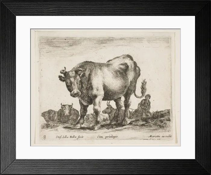 Framed Print : Plate 8: cow, from Various animals (Diversi animali), ca. 1641 Framed Print : Plate 8: cow, from Various animals (Diversi animali), ca. 1641