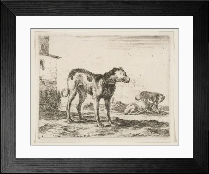 Framed Print : Plate 11: dogs, from Various animals (Diversi animali), ca. 1641 Framed Print : Plate 11: dogs, from Various animals (Diversi animali), ca. 1641