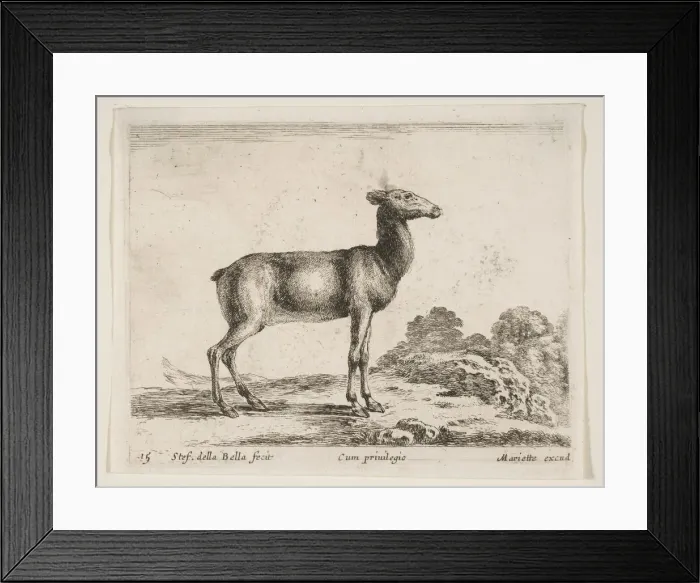 Framed Print : Plate 15: doe, from Various animals (Diversi animali), ca. 1641 Framed Print : Plate 15: doe, from Various animals (Diversi animali), ca. 1641