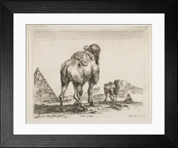 Framed Print : Plate 18: camel viewed from behind with pyramid at left, from Various animals (Diver Framed Print : Plate 18: camel viewed from behind with pyramid at left, from Various animals (Diver