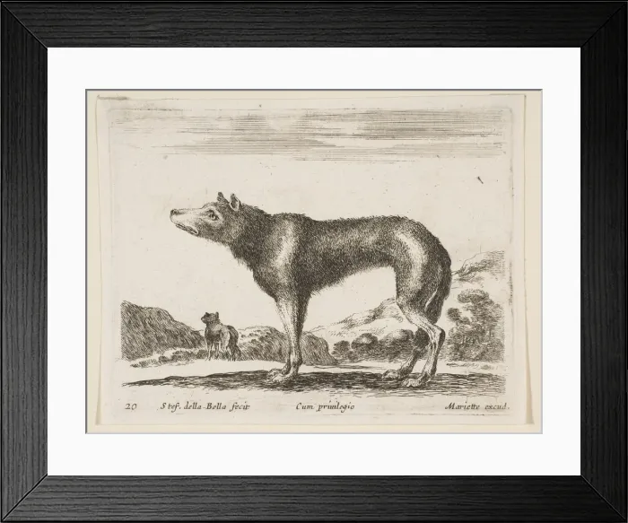 Framed Print : Plate 20: wolf, from Various animals (Diversi animali), ca. 1641 Framed Print : Plate 20: wolf, from Various animals (Diversi animali), ca. 1641