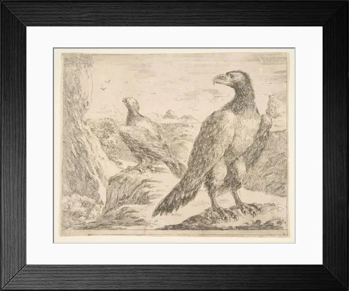 Framed Print : Two eagles, from Eagles (Les aigles), ca. 1651. Creator: Stefano della Bella Framed Print : Two eagles, from Eagles (Les aigles), ca. 1651. Creator: Stefano della Bella
