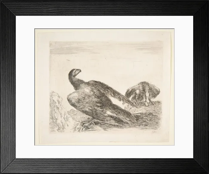 Framed Print : Two eagles, one with prey, from Eagles (Les aigles), ca. 1651 Framed Print : Two eagles, one with prey, from Eagles (Les aigles), ca. 1651