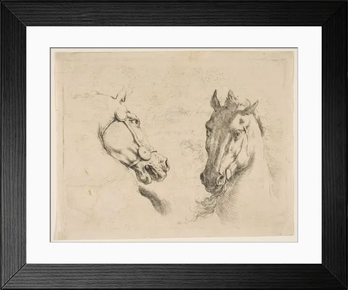 Framed Print : Two Horse Heads, ca. 1649. Creator: Stefano della Bella Framed Print : Two Horse Heads, ca. 1649. Creator: Stefano della Bella