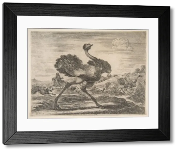 Framed Print : Ostrich hunt, from Animal hunts (Chasses adifferents animaux), ca. 1654 Framed Print : Ostrich hunt, from Animal hunts (Chasses adifferents animaux), ca. 1654