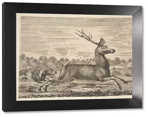 Hounds Chasing a Stag and a Doe, ca. 1654. Creator: Stefano della Bella
