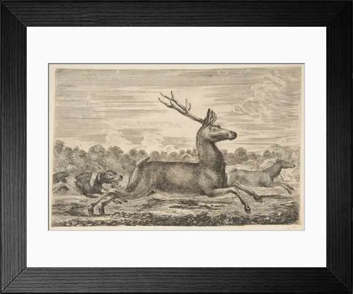 Framed Print : Hounds Chasing a Stag and a Doe, ca. 1654. Creator: Stefano della Bella Framed Print : Hounds Chasing a Stag and a Doe, ca. 1654. Creator: Stefano della Bella