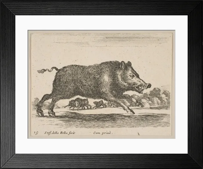 Framed Print : Plate 19: wild boar, from Various animals (Diversi animali), ca. 1641 Framed Print : Plate 19: wild boar, from Various animals (Diversi animali), ca. 1641