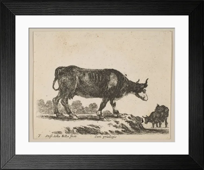 Framed Print : Plate 7: cow, from Various animals (Diversi animali), ca. 1641 Framed Print : Plate 7: cow, from Various animals (Diversi animali), ca. 1641
