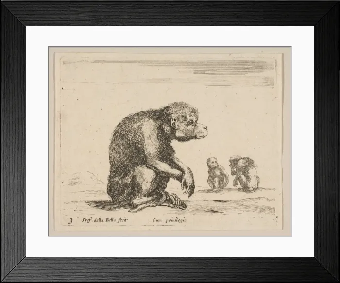 Framed Print : Plate 3: seated monkey, from Various animals (Diversi animali), ca. 1641 Framed Print : Plate 3: seated monkey, from Various animals (Diversi animali), ca. 1641