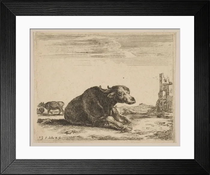 Framed Print : Plate 13: buffalo lying down, from Various animals (Diversi animali), ca. 1641 Framed Print : Plate 13: buffalo lying down, from Various animals (Diversi animali), ca. 1641