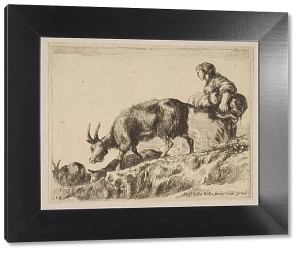 Plate 14: shepherdess herding goats, ca. 1641. Creator: Stefano della Bella