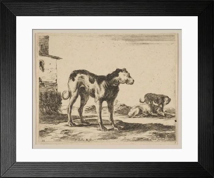 Framed Print : Plate 11: dogs, from Various animals (Diversi animali), ca. 1641 Framed Print : Plate 11: dogs, from Various animals (Diversi animali), ca. 1641